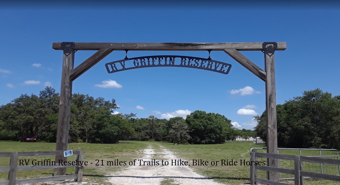 Slide 31
